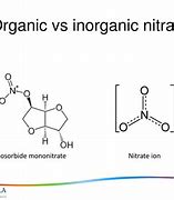 Image result for Inorganic Nitrate