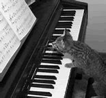 Image result for Imagine Piano Accompaniment Sheet Music