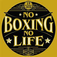 Image result for No Boxing No Life