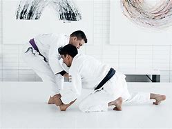 Image result for Japanese Jiu Jitsu