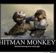 Image result for Monkey to Monkey Communication Meme