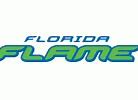 Image result for Florida Flame NBA Shirt