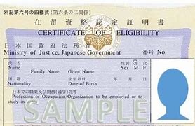 Image result for SSW Visa Japan