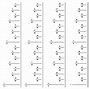 Image result for Ruler with Quarter Inches Marked