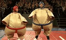 Image result for Funny Sumo Wrestler