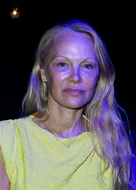 Image result for Pamela Anderson to star in ‘Naked Gun'