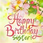 Image result for Happy Birthday Big Sister Funny Images