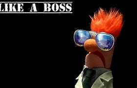 Image result for Like a Boss Funny