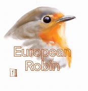 Image result for Robin Bird Tattoo