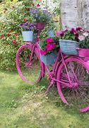Image result for Bicycle and Flowers
