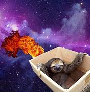 Image result for Sloth PC Wallpaper