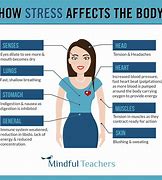 Image result for Stress in Humans