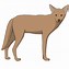 Image result for Desert Coyote Drawing