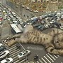 Image result for Giant Cat Meme