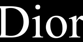 Image result for Dior Logo Plain White