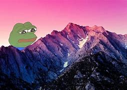 Image result for Strong Pepe Frog