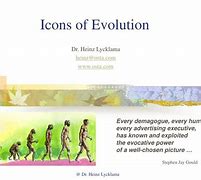 Image result for Icons of Evolution