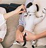 Image result for What Is Aibo