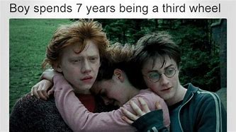 Image result for Hilarious Harry Potter Memes