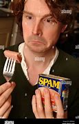 Image result for Spam Meat Flavors