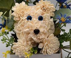 Image result for Dog Flower