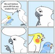 Image result for Chicken Thoughts Meme