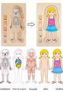Image result for Life-Size Body Puzzle