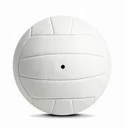 Image result for Volleyball Ball White