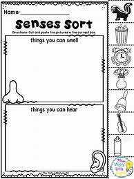 Image result for Five Senses Bulletin Board