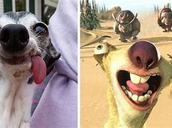 Image result for Sid Sloth vs Real