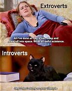 Image result for Funny Quotes About Introverts