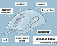 Image result for A Picture of the Mouse Computer Analogy