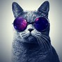 Image result for Cool Animal Wallpapers Cat