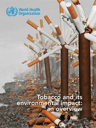 Image result for Cigarette Smoke Air Pollution
