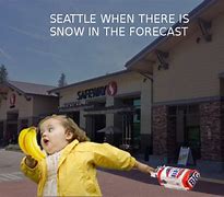 Image result for Seattle Snow Meme