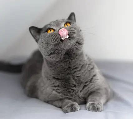 Image result for How to Start a Java Class