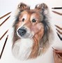 Image result for Painting Dogs in Colored Pencil