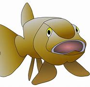 Image result for Brown Fish Cartoon