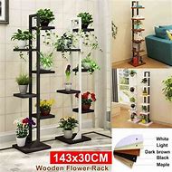 Image result for Hanging Plants Indoors