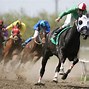 Image result for Horse Racing Images. Free