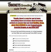 Image result for How to Breed Feeder Crickets