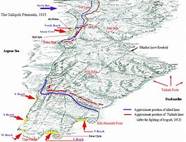 Image result for Battle of Gallipoli Map