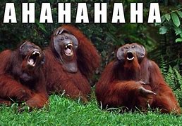 Image result for Haha Laughing Meme