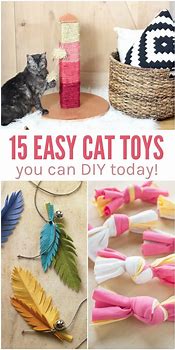 Image result for Easy DIY Cat Toys