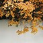 Image result for Gold Flowers Aesthetic Design