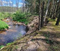 Image result for cisowsko orłowiński_park_krajobrazowy