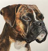 Image result for Boxer Dog Artwork