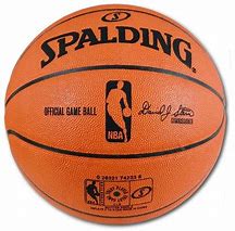 Image result for NBA Spalding Game Ball Mini