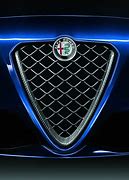 Image result for Alfa Romeo 500 Accessories