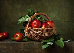 Image result for Free Still Life Photography